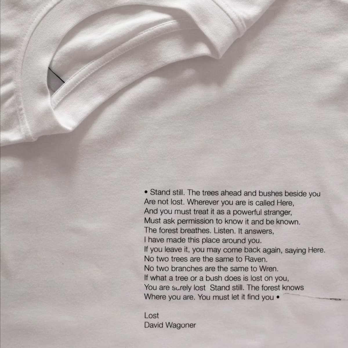 Custom Merchandise Design 6